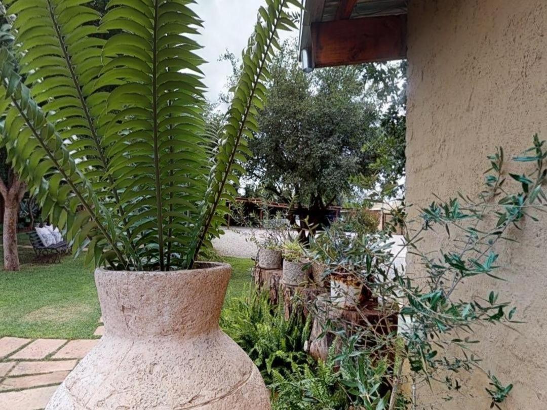 Cradle Valley Boutique Guesthouse 穆德斯蒂夫 外观 照片