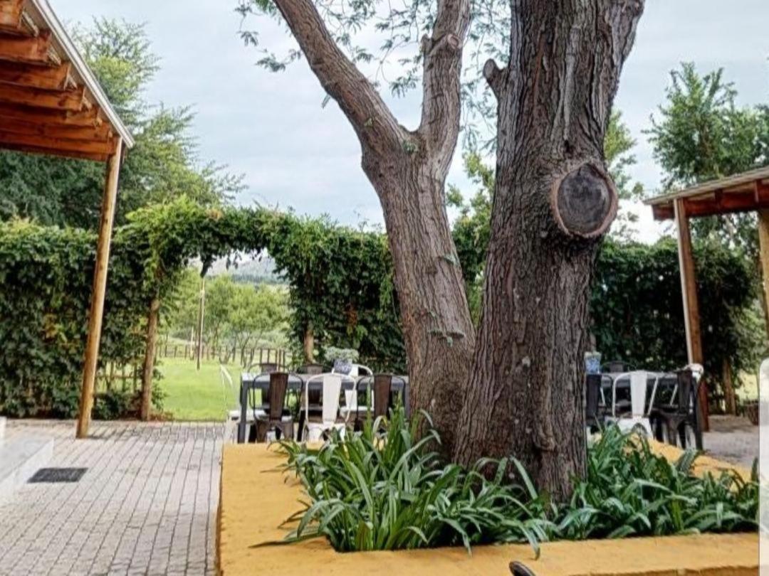 Cradle Valley Boutique Guesthouse 穆德斯蒂夫 外观 照片