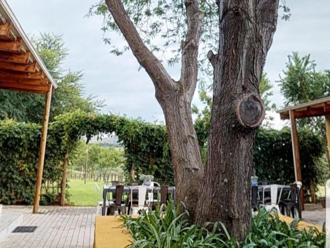 Cradle Valley Boutique Guesthouse 穆德斯蒂夫 外观 照片