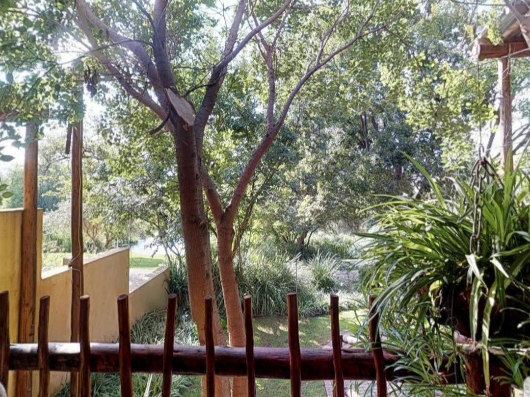 Cradle Valley Boutique Guesthouse 穆德斯蒂夫 外观 照片